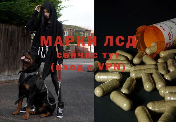 прущая мука Михайловка