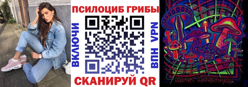 купить наркотик ссылка на мегу Псилоцибиновые грибы MAGIC MUSHROOMS Дно